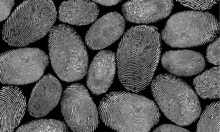 Texture, fingerprints