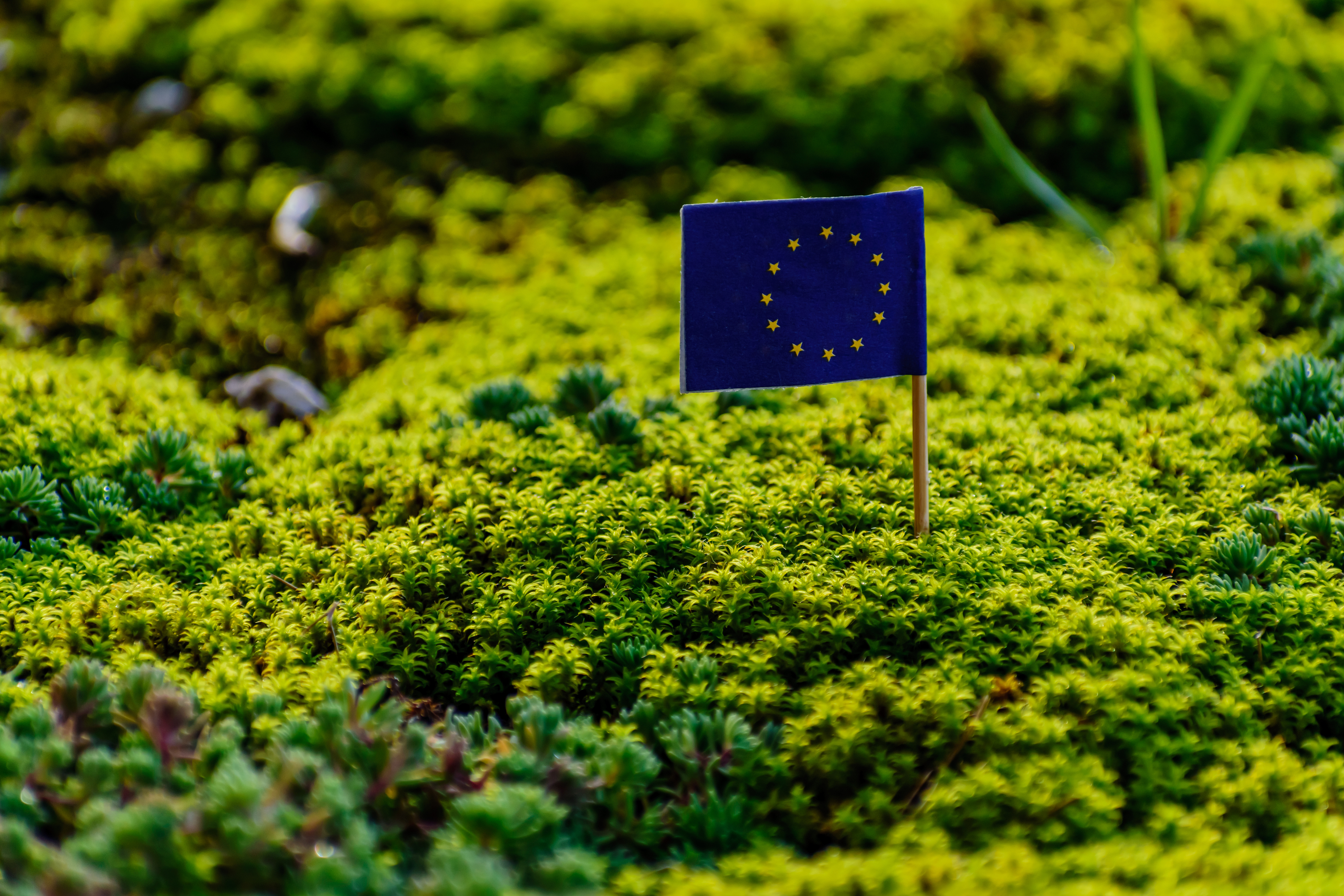 European union flag in vibrant green environment